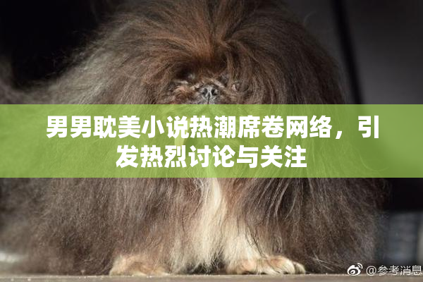 男男耽美小说热潮席卷网络，引发热烈讨论与关注