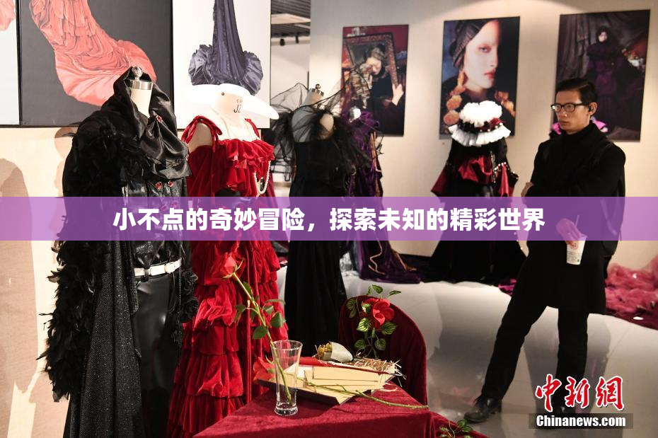 小不点的奇妙冒险，探索未知的精彩世界