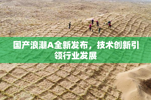 国产浪潮A全新发布，技术创新引领行业发展