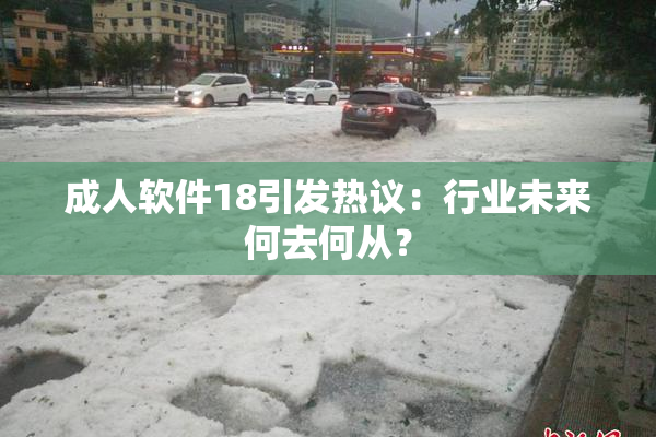 成人软件18引发热议：行业未来何去何从？