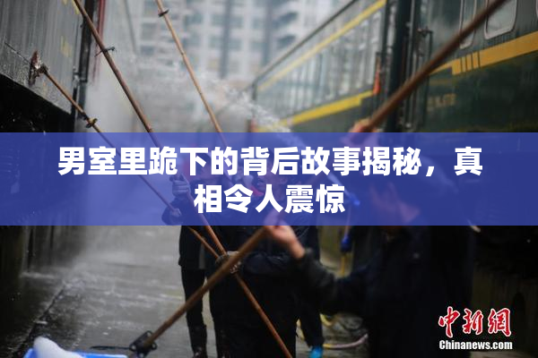 男室里跪下的背后故事揭秘，真相令人震惊