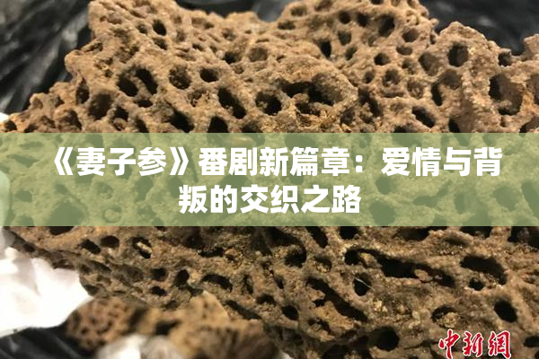 《妻子参》番剧新篇章：爱情与背叛的交织之路