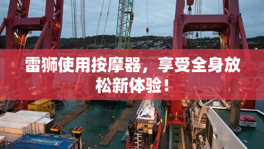 雷狮使用按摩器，享受全身放松新体验！