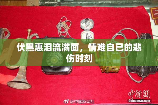 伏黑惠泪流满面，情难自已的悲伤时刻