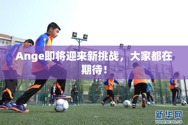 Ange即将迎来新挑战，大家都在期待！