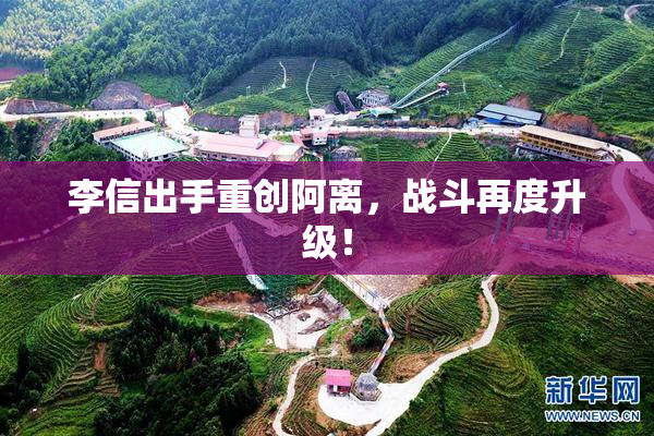 李信出手重创阿离，战斗再度升级！
