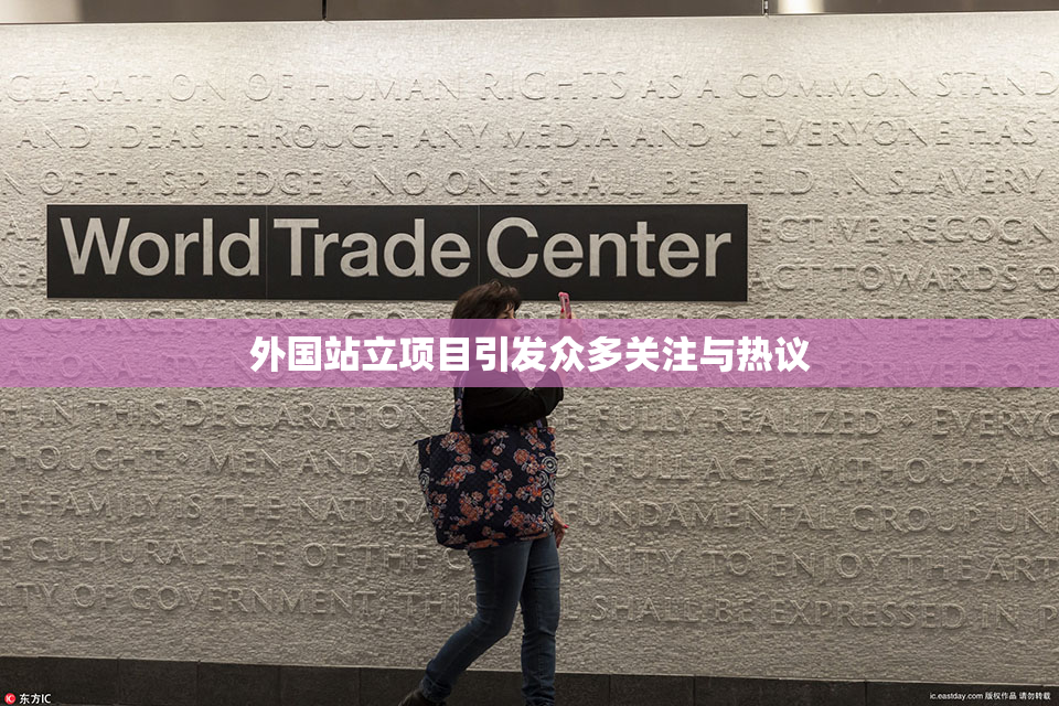 外国站立项目引发众多关注与热议