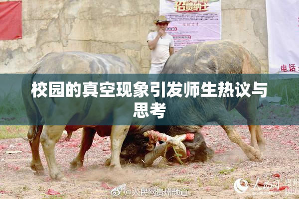 校园的真空现象引发师生热议与思考