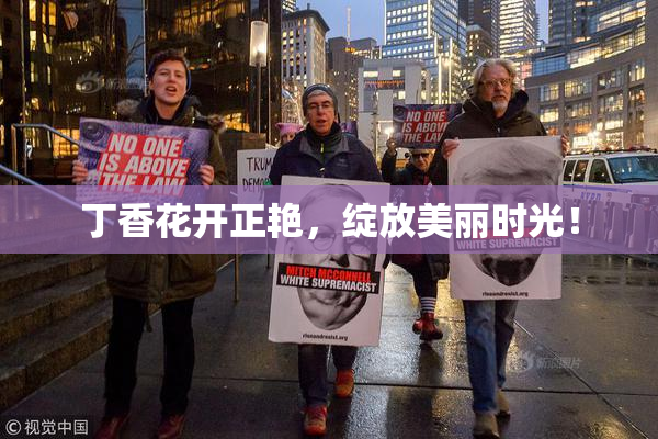 丁香花开正艳，绽放美丽时光！