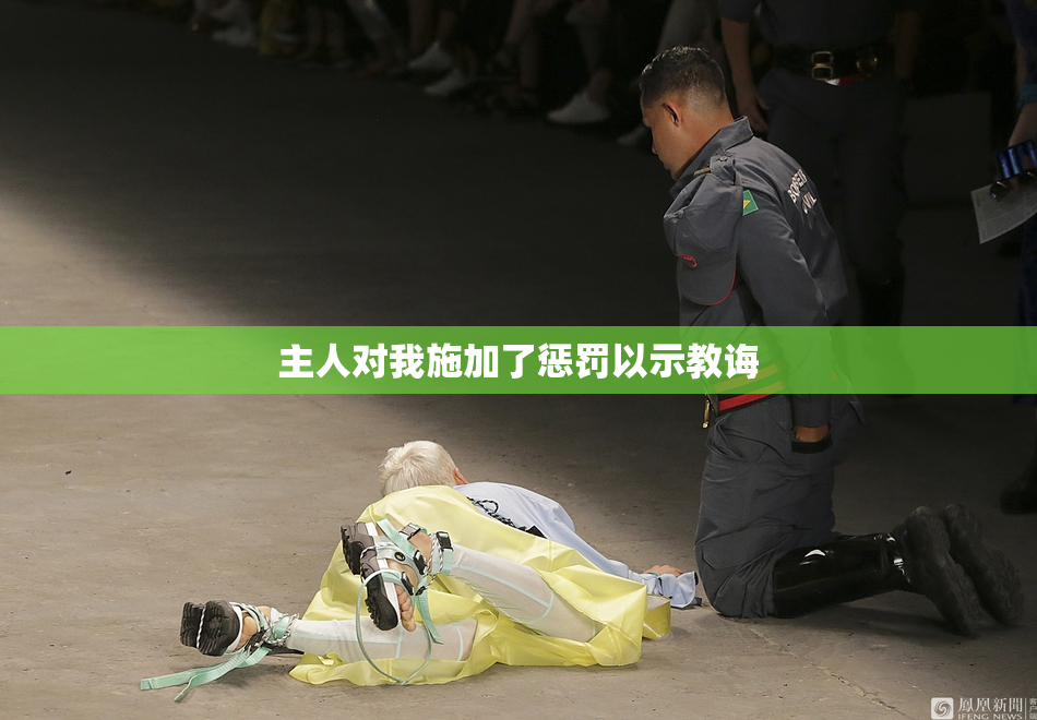 主人对我施加了惩罚以示教诲