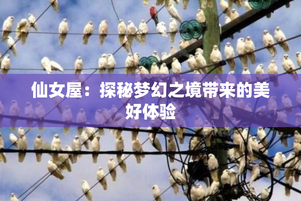 仙女屋：探秘梦幻之境带来的美好体验