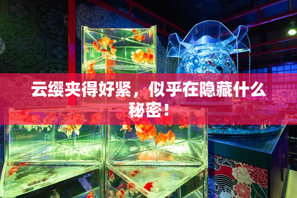 云缨夹得好紧，似乎在隐藏什么秘密！