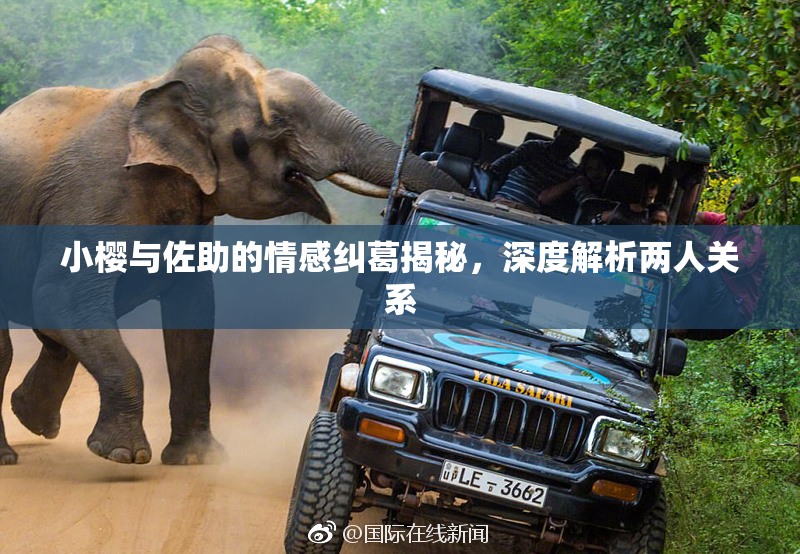 小樱与佐助的情感纠葛揭秘，深度解析两人关系
