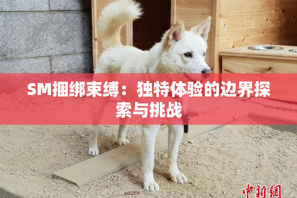 SM捆绑束缚：独特体验的边界探索与挑战