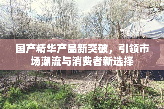 国产精华产品新突破，引领市场潮流与消费者新选择
