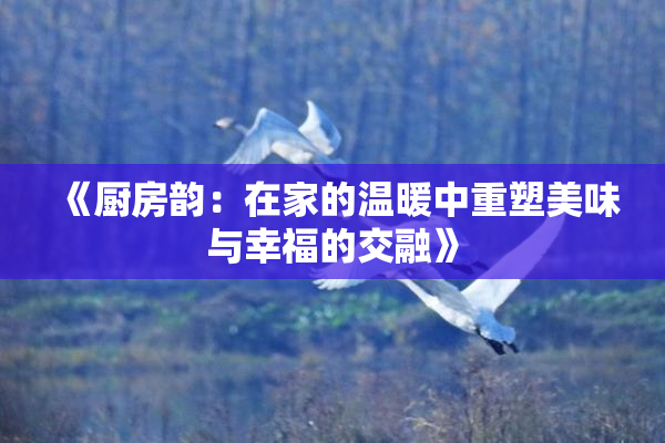 《厨房韵：在家的温暖中重塑美味与幸福的交融》