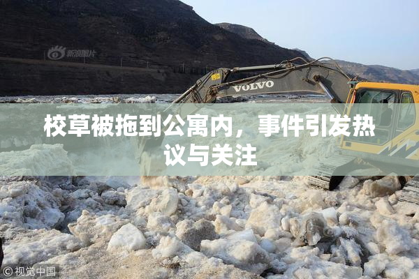 校草被拖到公寓内，事件引发热议与关注