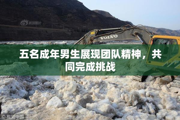 五名成年男生展现团队精神，共同完成挑战