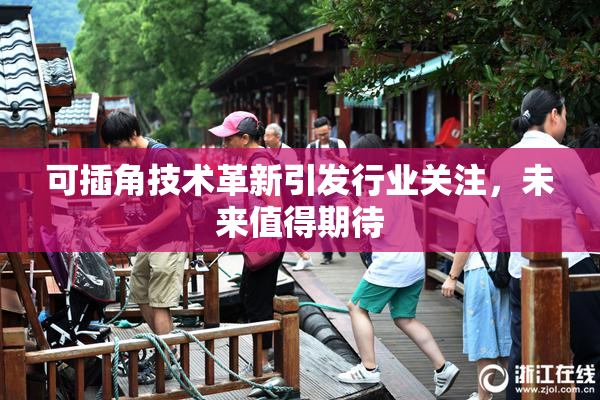 可插角技术革新引发行业关注，未来值得期待