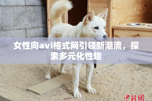 女性向avi格式网引领新潮流，探索多元化性趣