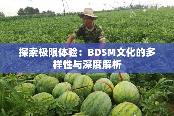 探索极限体验：BDSM文化的多样性与深度解析