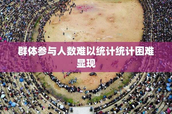 群体参与人数难以统计统计困难显现