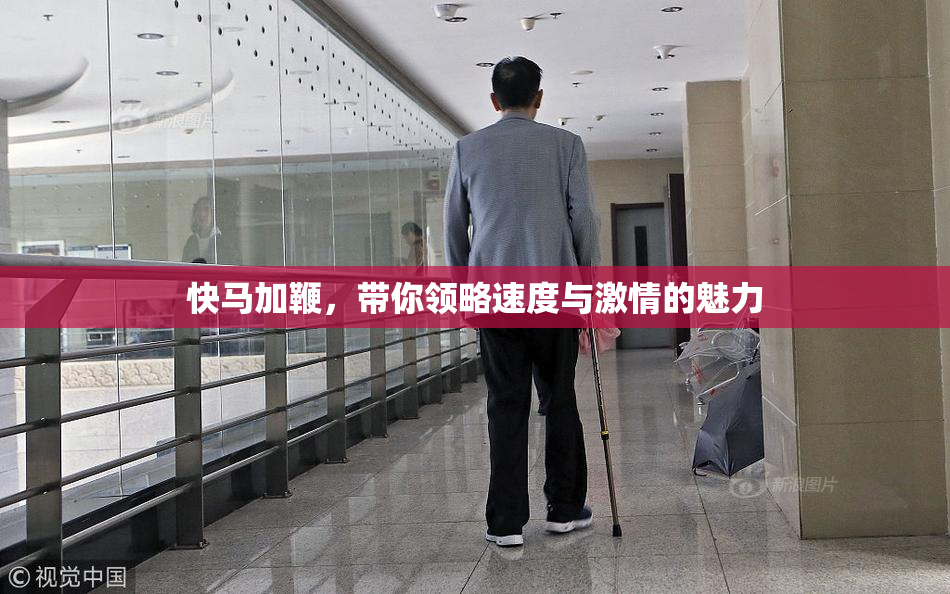 快马加鞭，带你领略速度与激情的魅力