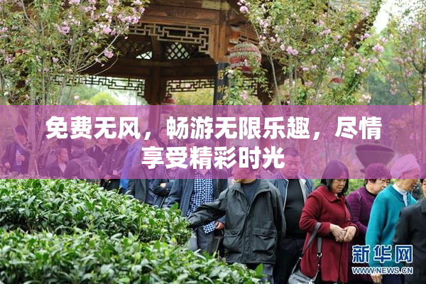 免费无风，畅游无限乐趣，尽情享受精彩时光