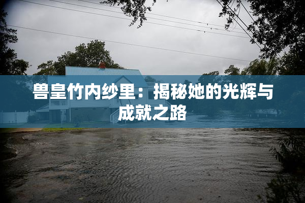 兽皇竹内纱里：揭秘她的光辉与成就之路