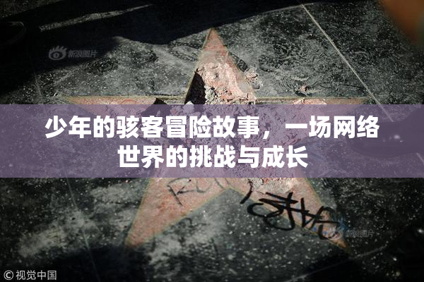 少年的骇客冒险故事，一场网络世界的挑战与成长