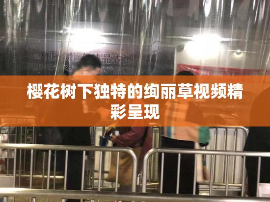 樱花树下独特的绚丽草视频精彩呈现