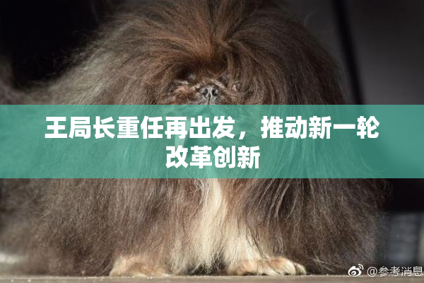 王局长重任再出发，推动新一轮改革创新