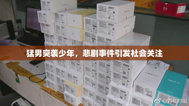 猛男突袭少年，悲剧事件引发社会关注