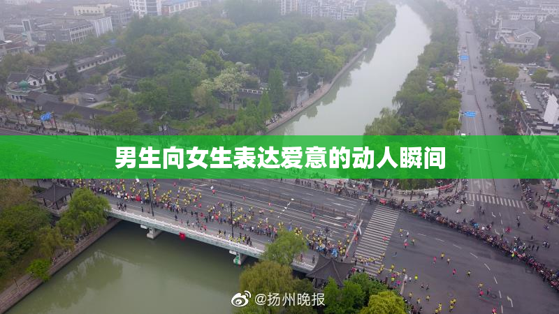 男生向女生表达爱意的动人瞬间