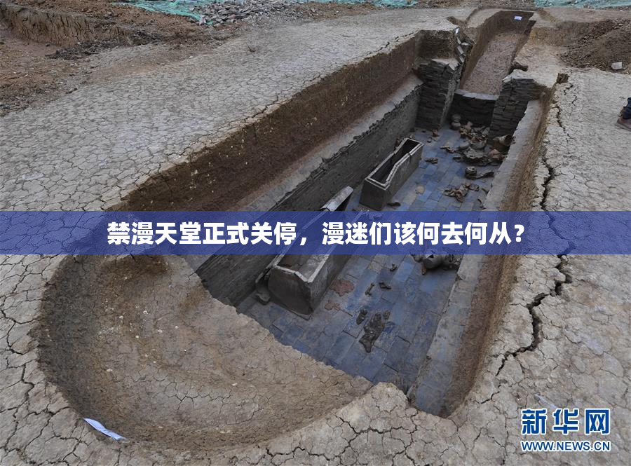 禁漫天堂正式关停，漫迷们该何去何从？