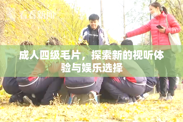 成人四级毛片，探索新的视听体验与娱乐选择