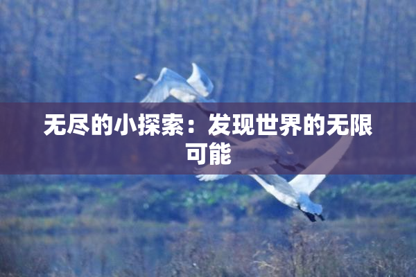 无尽的小探索：发现世界的无限可能