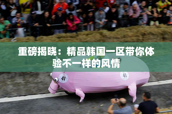 重磅揭晓：精品韩国一区带你体验不一样的风情