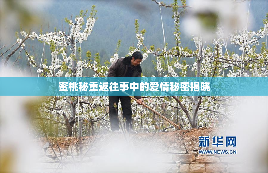 蜜桃秘重返往事中的爱情秘密揭晓