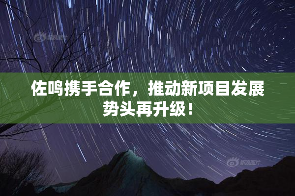 佐鸣携手合作，推动新项目发展势头再升级！