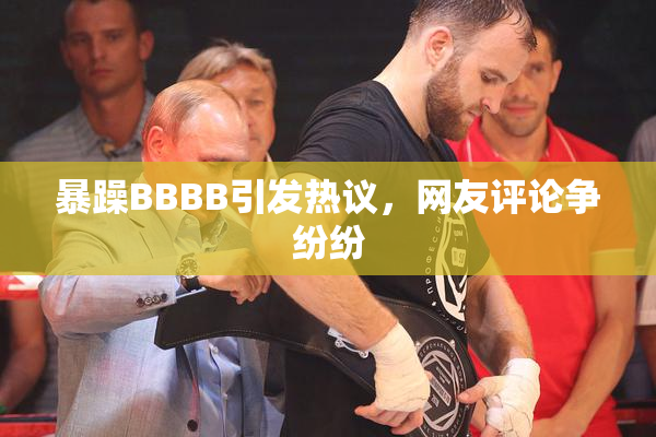 暴躁BBBB引发热议，网友评论争纷纷