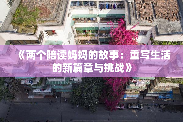 《两个陪读妈妈的故事：重写生活的新篇章与挑战》