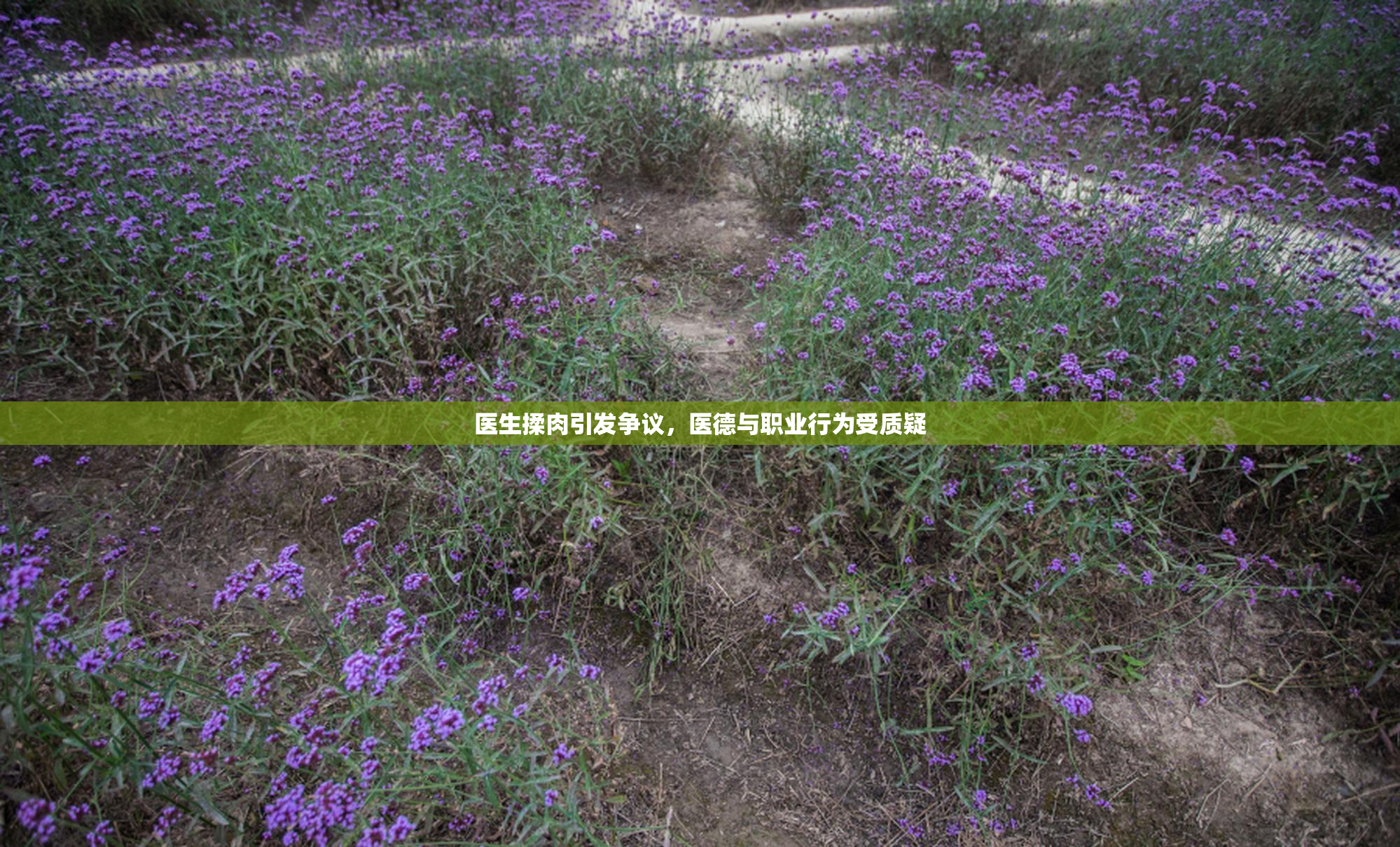 医生揉肉引发争议，医德与职业行为受质疑