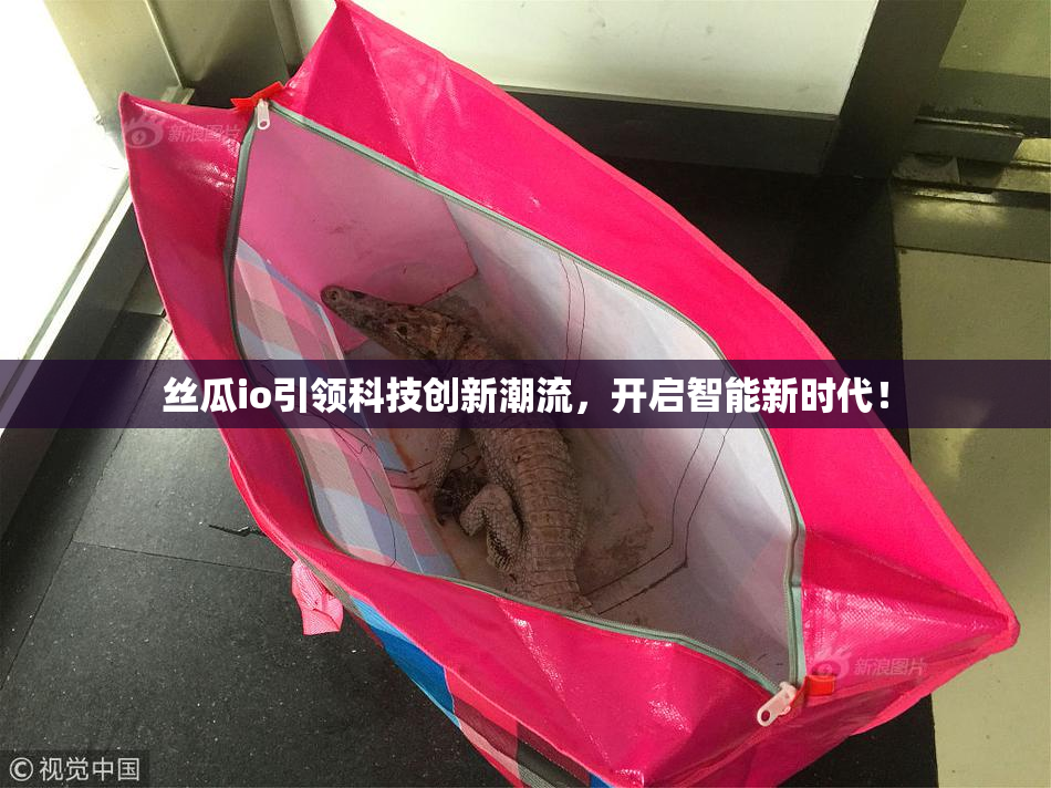 丝瓜io引领科技创新潮流，开启智能新时代！