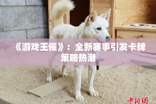 《游戏王催》：全新赛事引发卡牌策略热潮