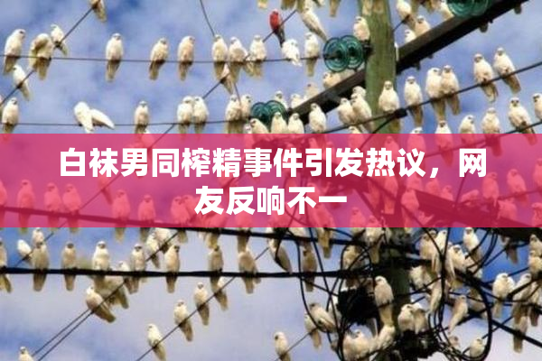 白袜男同榨精事件引发热议，网友反响不一