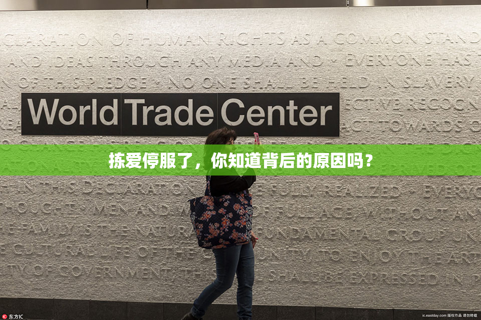 拣爱停服了，你知道背后的原因吗？
