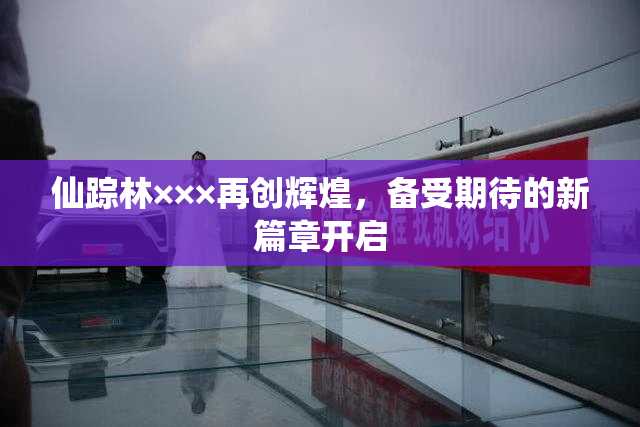 仙踪林×××再创辉煌，备受期待的新篇章开启