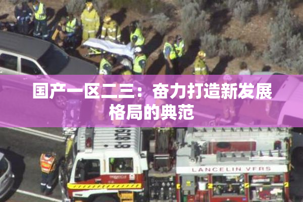 国产一区二三：奋力打造新发展格局的典范
