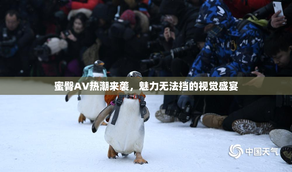蜜臀AV热潮来袭，魅力无法挡的视觉盛宴